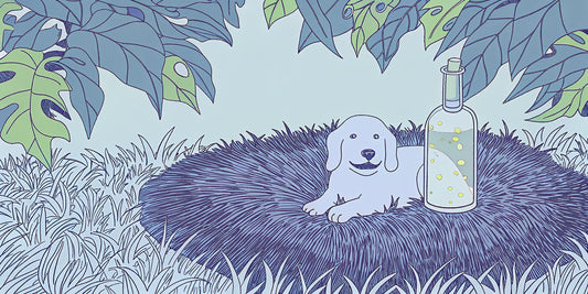 A dog resting comfortably next to a bottle of CBD oil for joint pain.