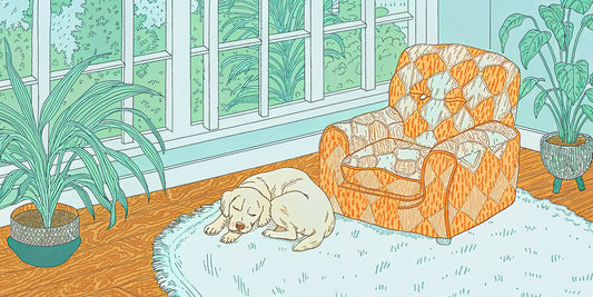 A peaceful dog rests after its owner chose to buy CBG drops for dogs.