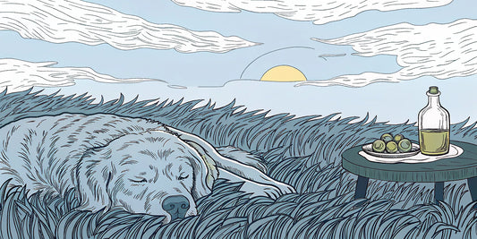 A dog resting comfortably, getting relief from arthritis with CBD olive oil.