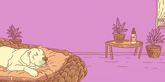 A calm dog with a bottle of CBD oil, a Reddit-discussed remedy for separation anxiety.