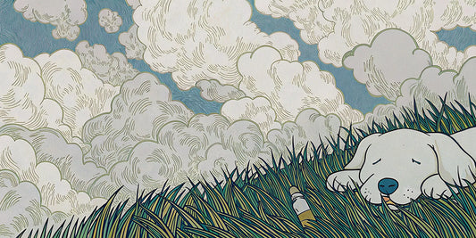 A dog with a bottle of CBD oil, finding the right dosage for anxiety.