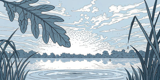 Calm lake at sunrise symbolizing the balance of microdosing THC and CBD.